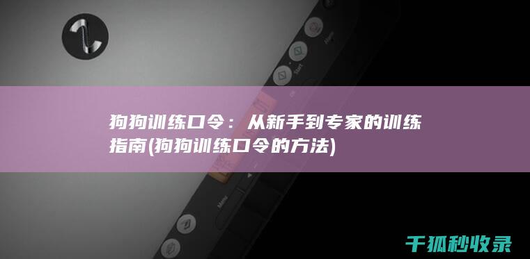 狗狗训练口令：从新手到专家的训练指南 (狗狗训练口令的方法)