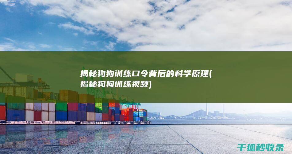 揭秘狗狗训练口令背后的科学原理 (揭秘狗狗训练视频)