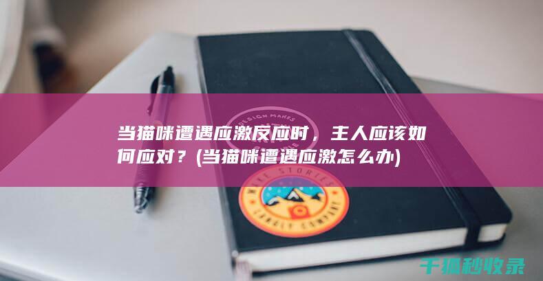 当猫咪遭遇应激反应时，主人应该如何应对？ (当猫咪遭遇应激怎么办)