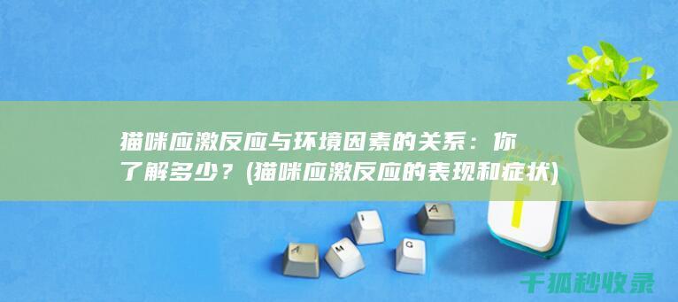猫咪应激反应与环境因素的关系：你了解多少？ (猫咪应激反应的表现和症状)