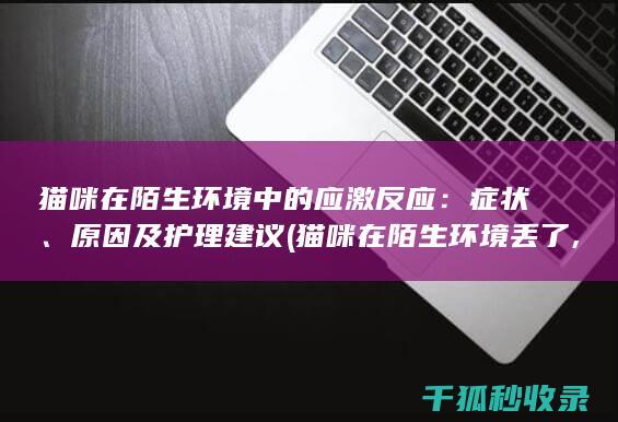 猫咪在陌生环境中的应激反应：症状、原因及护理建议 (猫咪在陌生环境丢了,怎么找回来)