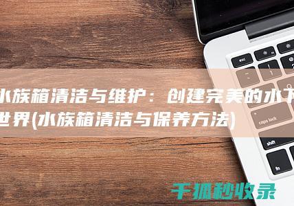 水族箱清洁与维护：创建完美的水下世界 (水族箱清洁与保养方法)