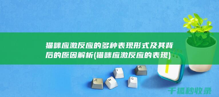 猫咪应激反应的多种表现形式及其背后的原因解析 (猫咪应激反应的表现)