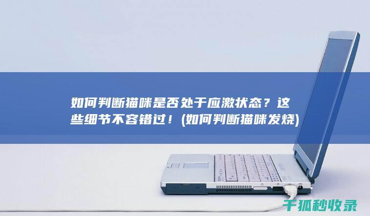 如何判断猫咪是否处于应激状态？这些细节不容错过！ (如何判断猫咪发烧)