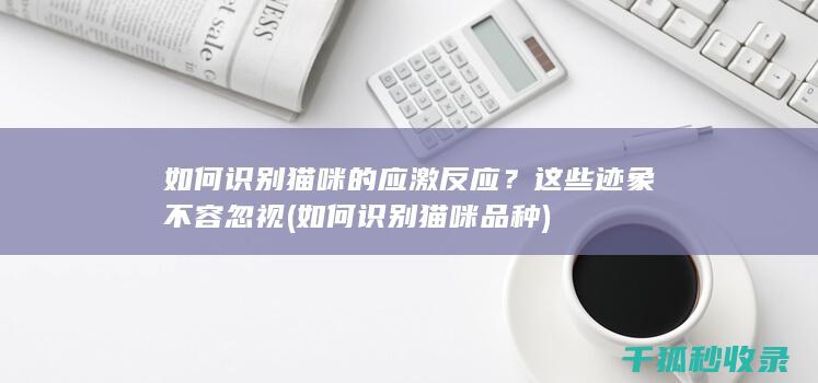 如何识别猫咪的应激反应？这些迹象不容忽视 (如何识别猫咪品种)