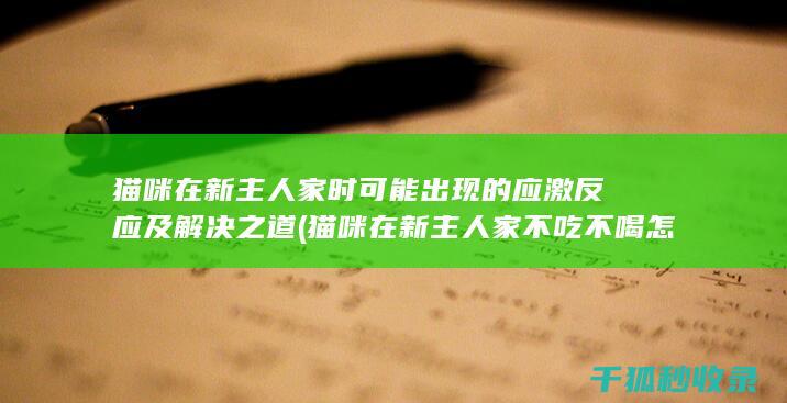 猫咪在新主人家时可能出现的应激反应及解决之道 (猫咪在新主人家不吃不喝怎么办)