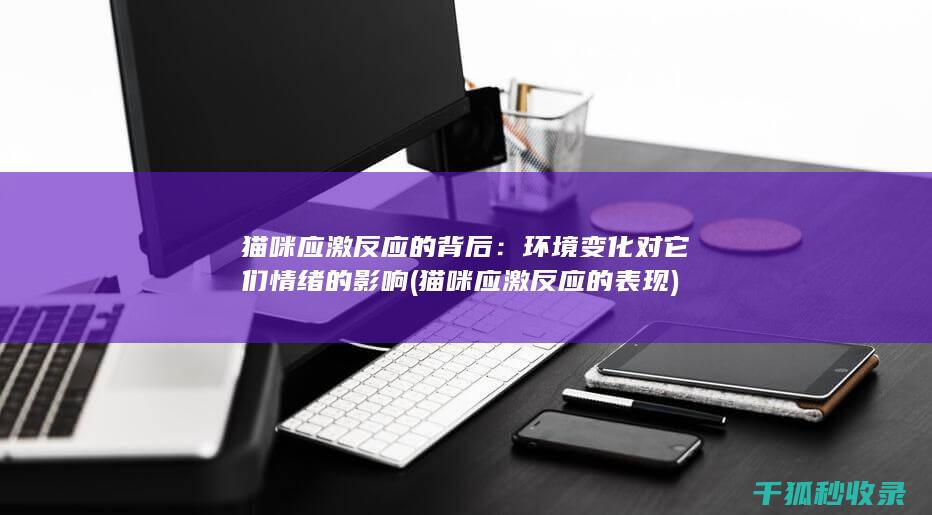 猫咪应激反应的背后：环境变化对它们情绪的影响 (猫咪应激反应的表现)
