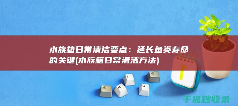 水族箱日常清洁要点：延长鱼类寿命的关键 (水族箱日常清洁方法)