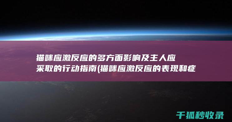 猫咪应激反应的多方面影响及主人应采取的行动指南 (猫咪应激反应的表现和症状)