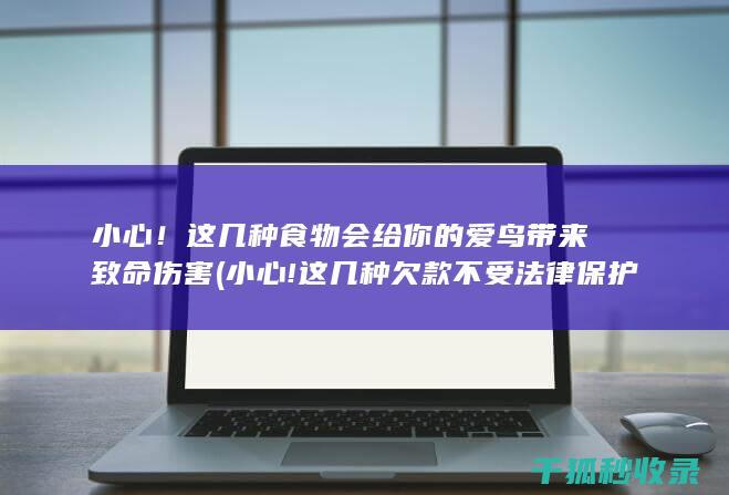 小心！这几种食物会给你的爱鸟带来致命伤害 (小心!这几种欠款不受法律保护,借了不用还!)