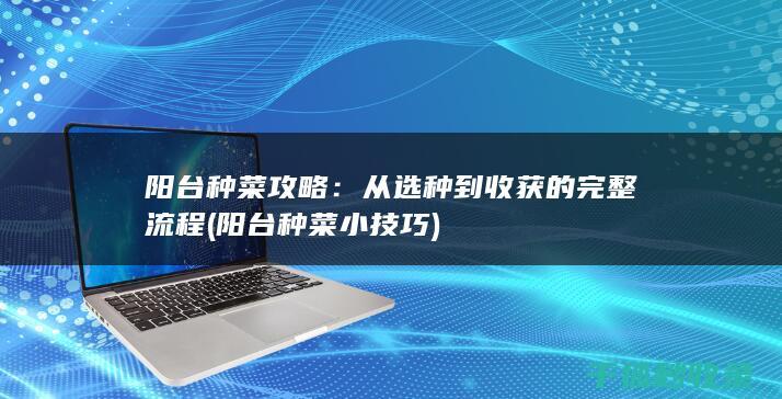 阳台种菜攻略：从选种到收获的完整流程 (阳台种菜小技巧)