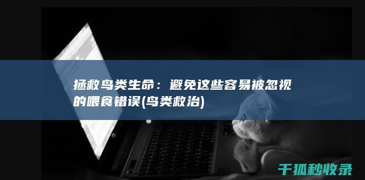 拯救鸟类生命：避免这些容易被忽视的喂食错误 (鸟类救治)