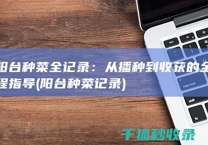 阳台种菜全记录：从播种到收获的全程指导 (阳台种菜记录)