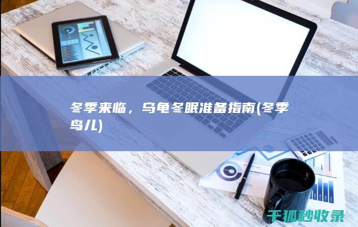 冬季来临，乌龟冬眠准备指南 (冬季鸟儿)