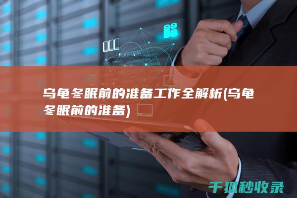 乌龟冬眠前的准备工作全解析