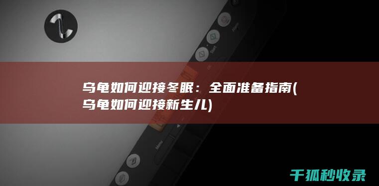 乌龟如何迎接冬眠：全面准备指南 (乌龟如何迎接新生儿)