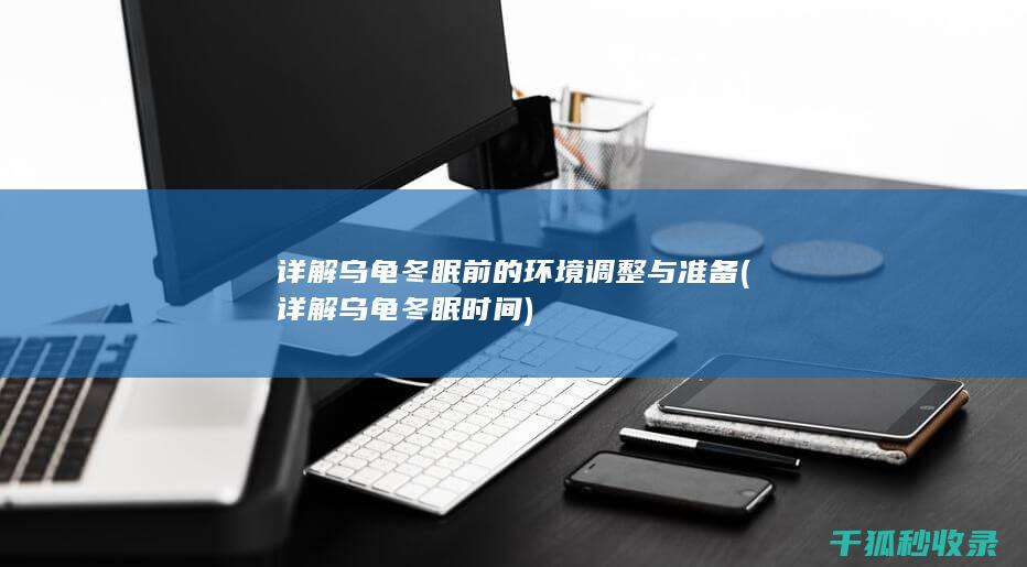 详解乌龟冬眠前的环境调整与准备 (详解乌龟冬眠时间)