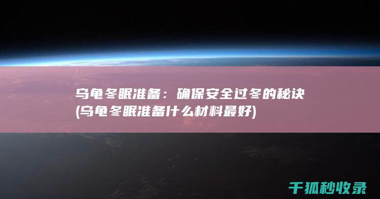 乌龟冬眠准备：确保安全过冬的秘诀 (乌龟冬眠准备什么材料最好)