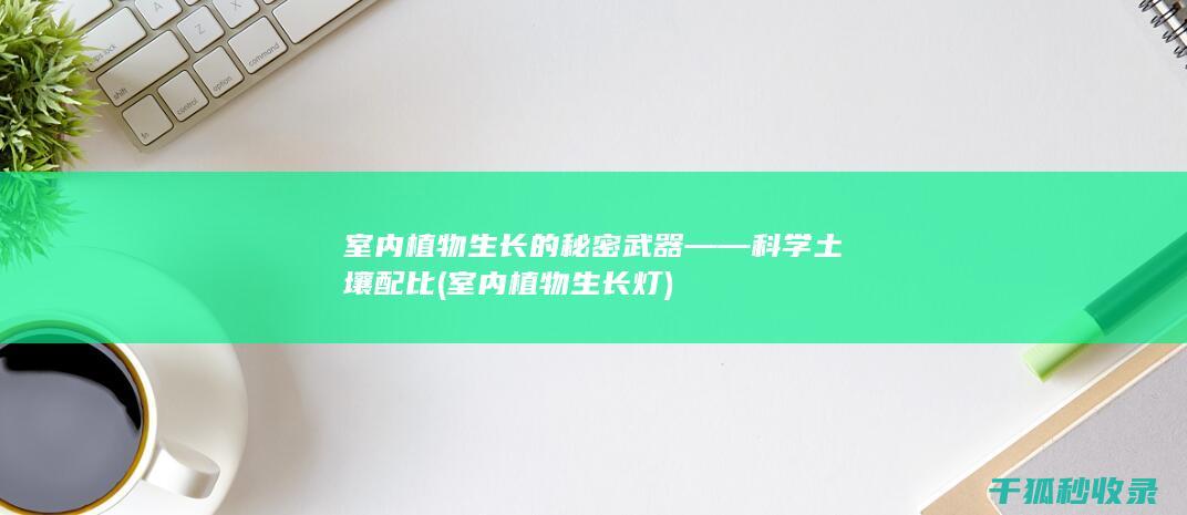 室内植物生长的秘密武器——科学土壤配比 (室内植物生长灯)
