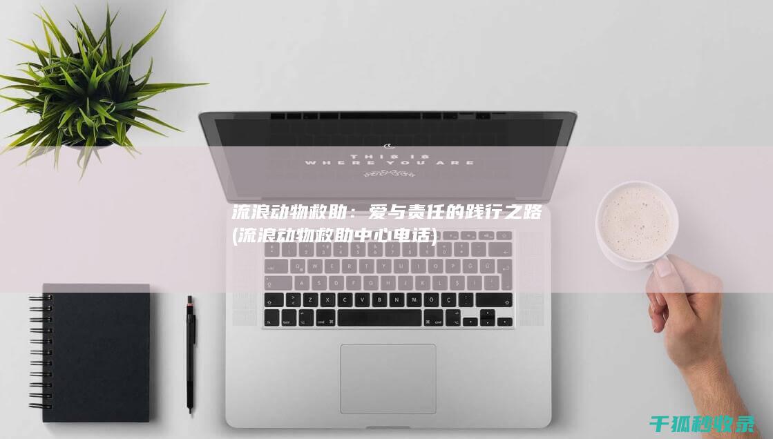 流浪动物救助：爱与责任的践行之路 (流浪动物救助中心电话)