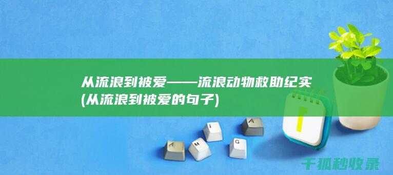 从流浪到被爱——流浪动物救助纪实 (从流浪到被爱的句子)
