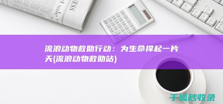 流浪动物救助行动：为生命撑起一片天 (流浪动物救助站)