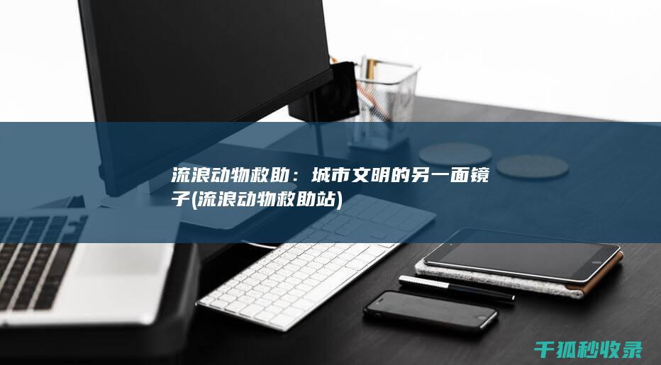 流浪动物救助：城市文明的另一面镜子 (流浪动物救助站)