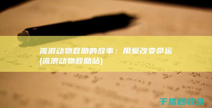 流浪动物救助的故事：用爱改变命运 (流浪动物救助站)