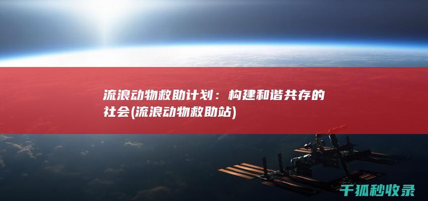 流浪动物救助计划：构建和谐共存的社会 (流浪动物救助站)
