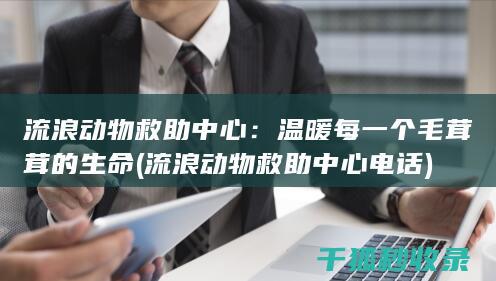 流浪动物救助中心：温暖每一个毛茸茸的生命 (流浪动物救助中心电话)