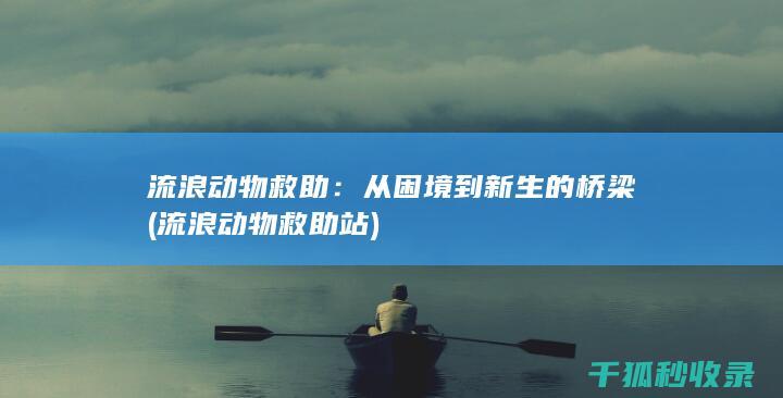 流浪动物救助：从困境到新生的桥梁 (流浪动物救助站)