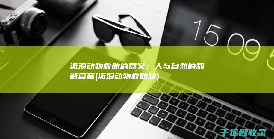 流浪动物救助的意义：人与自然的和谐篇章 (流浪动物救助站)
