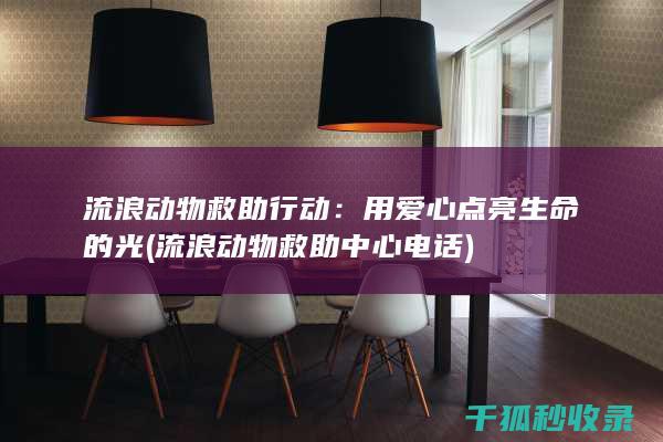 流浪动物救助行动：用爱心点亮生命的光 (流浪动物救助中心电话)