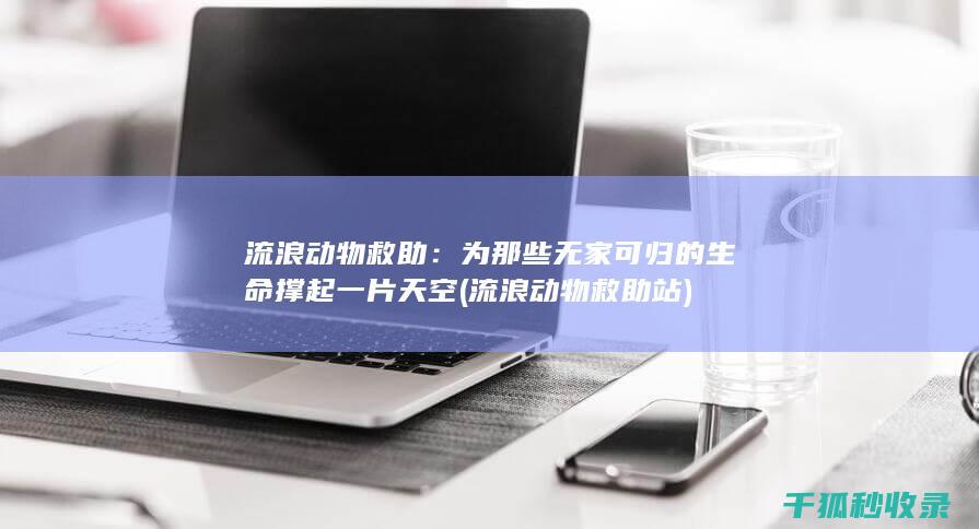 流浪动物救助：为那些无家可归的生命撑起一片天空 (流浪动物救助站)