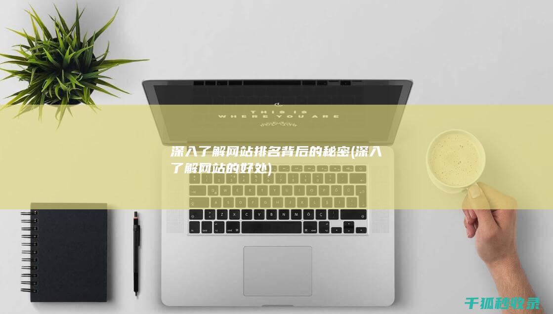 深入了解网站排名背后的秘密 (深入了解网站的好处)