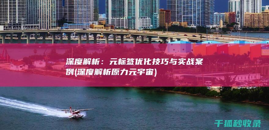 深度解析：元标签优化技巧与实战案例 (深度解析原力元宇宙)