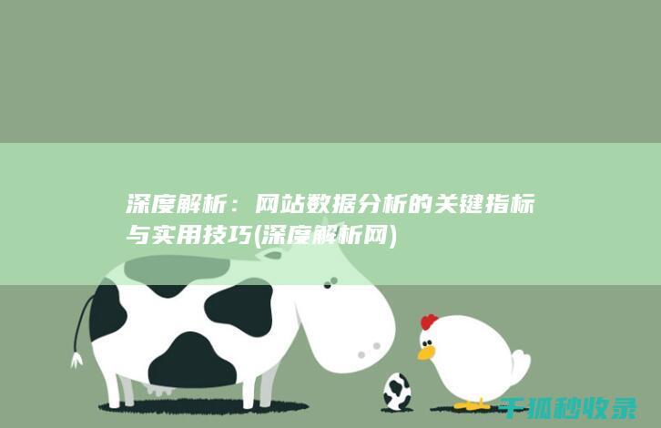 深度解析：网站数据分析的关键指标与实用技巧 (深度解析网)