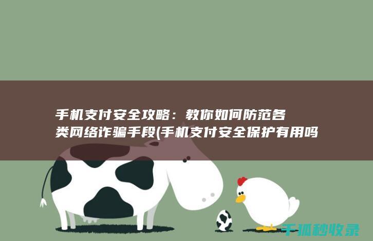 手机支付安全攻略：教你如何防范各类网络诈骗手段 (手机支付安全保护有用吗)