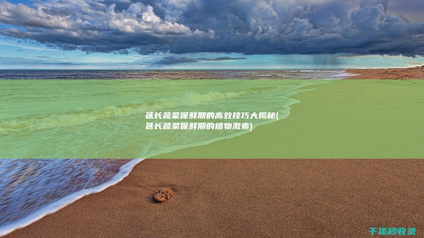 延长蔬菜保鲜期的高效技巧大揭秘 (延长蔬菜保鲜期的植物激素)
