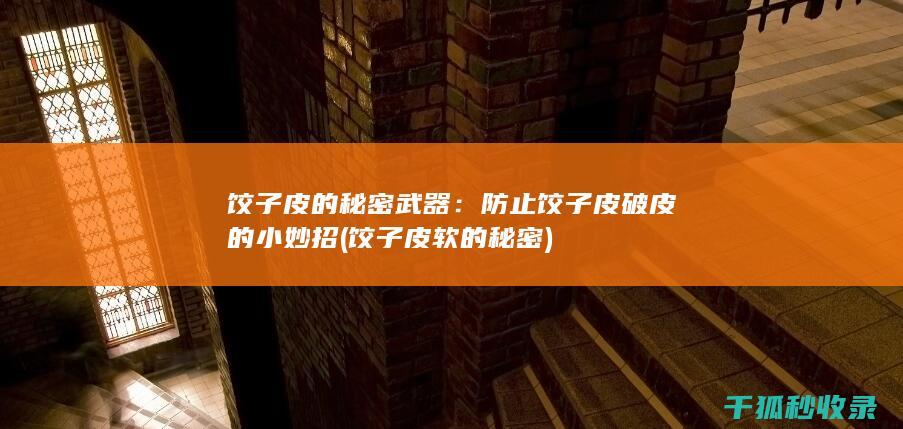 饺子皮的秘密武器：防止饺子皮破皮的小妙招 (饺子皮软的秘密)