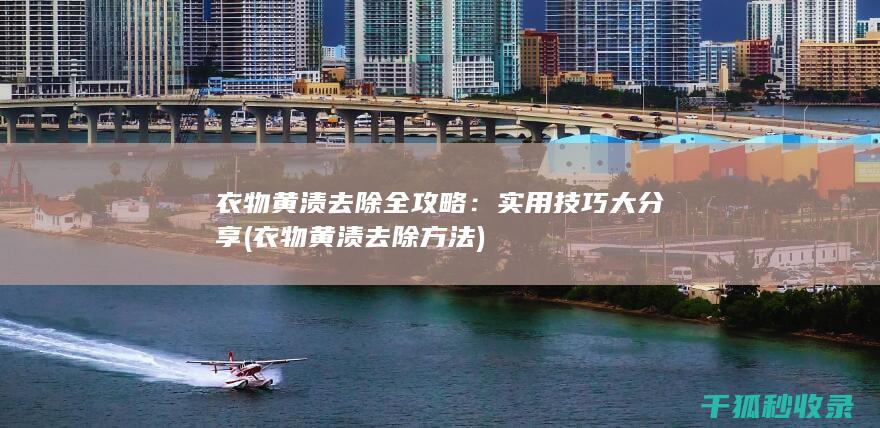 衣物黄渍去除全攻略：实用技巧大分享 (衣物黄渍去除方法)