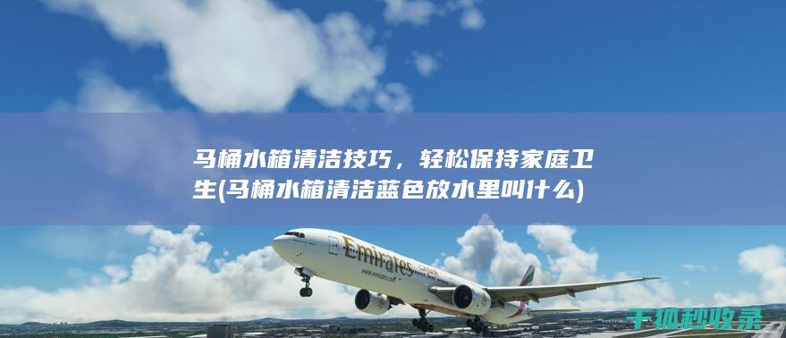 马桶水箱清洁技巧，轻松保持家庭卫生 (马桶水箱清洁蓝色放水里叫什么)