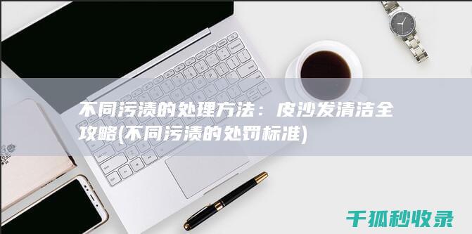 不同污渍的处理方法：皮沙发清洁全攻略 (不同污渍的处罚标准)
