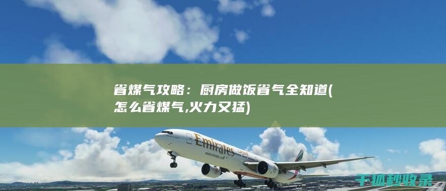 省煤气攻略：厨房做饭省气全知道 (怎么省煤气,火力又猛)