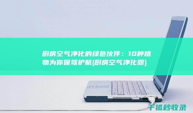 厨房空气净化的绿色伙伴：10种植物为你保驾护航 (厨房空气净化器)