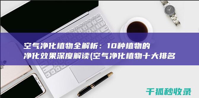 空气净化植物全解析：10种植物的净化效果深度解读 (空气净化植物十大排名)