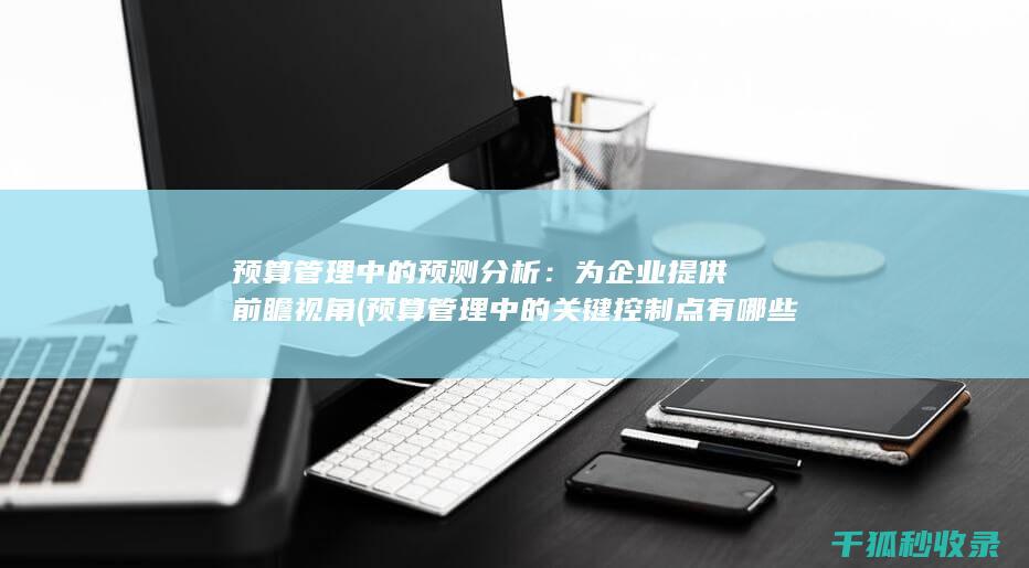 预算管理中的预测分析：为企业提供前瞻视角 (预算管理中的关键控制点有哪些)