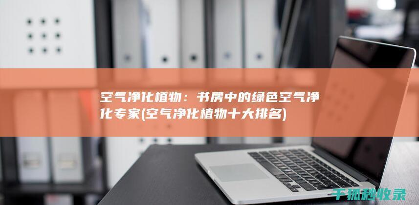 空气净化植物：书房中的绿色空气净化专家 (空气净化植物十大排名)