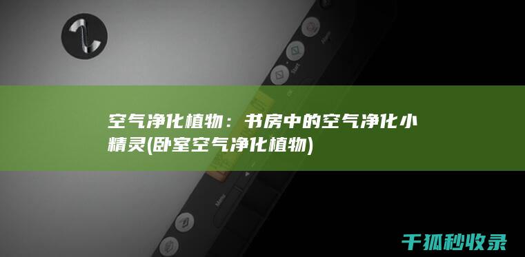 空气净化植物：书房中的空气净化小精灵 (卧室空气净化植物)