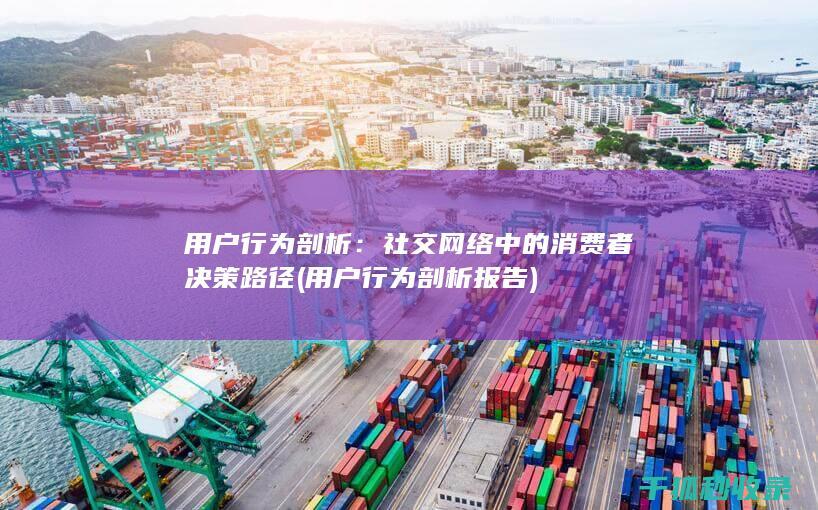 用户行为剖析：社交网络中的消费者决策路径 (用户行为剖析报告)